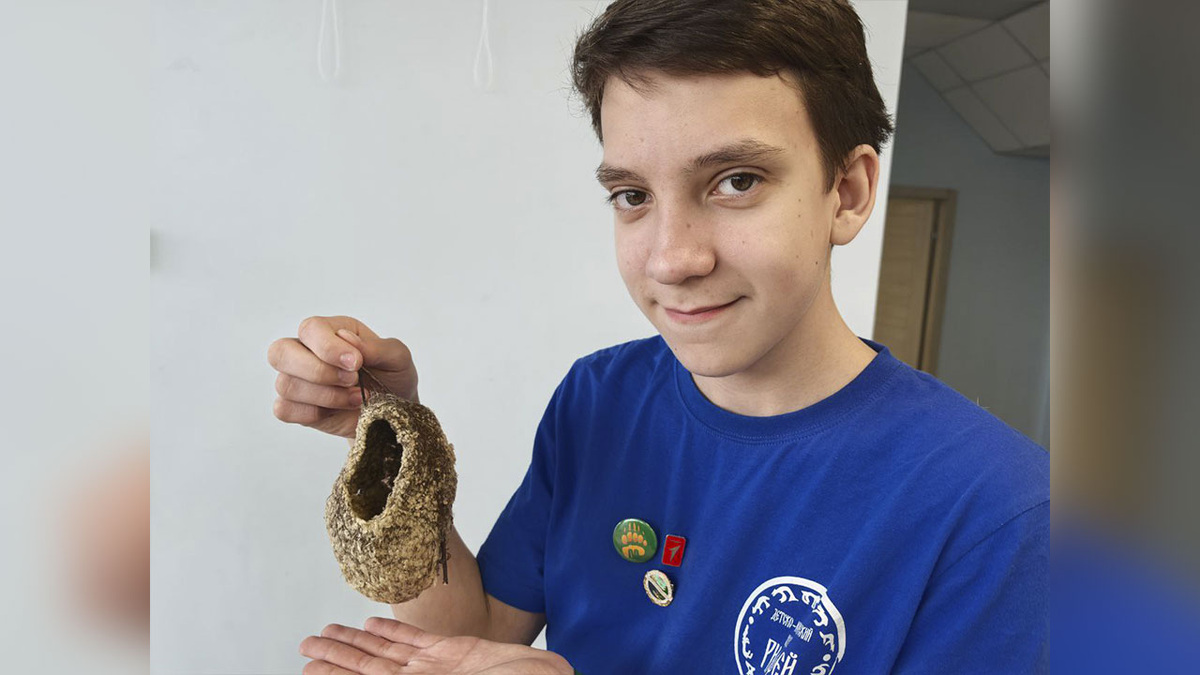 Артём Кондаков, один из кураторов орнитологической площадки, держит в руках гнездо-варежку ремеза обыкновенного. Фото: автор текста 