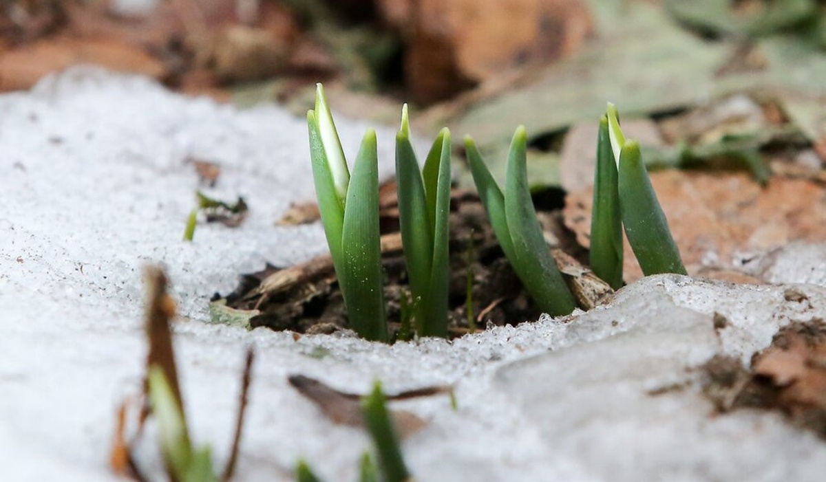    Фото: mskagency.ru