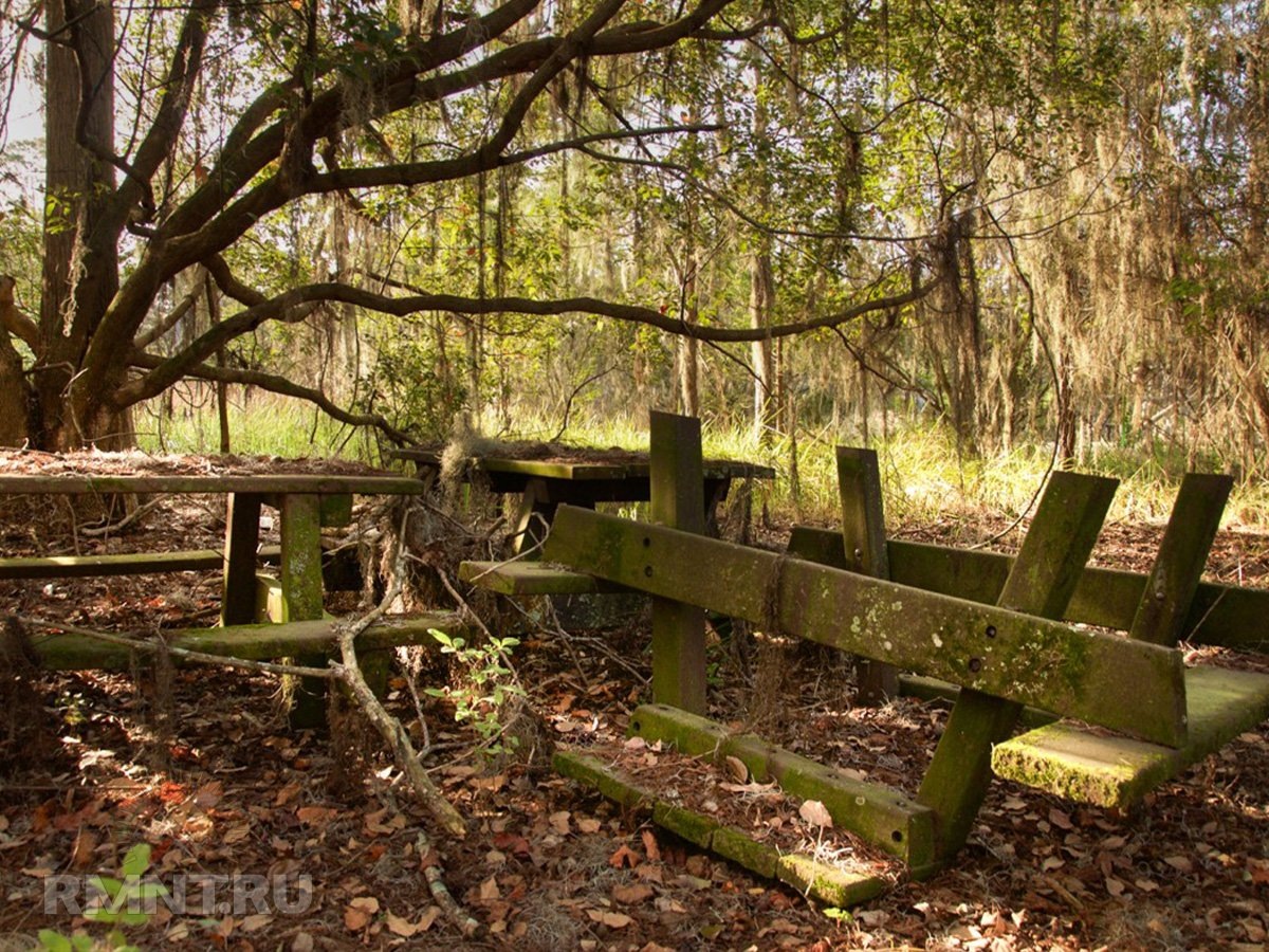 Фото cashpo-design.ru