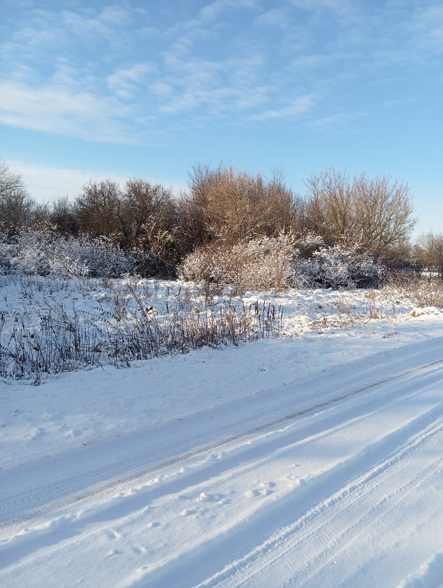 Зимняя дорога. 