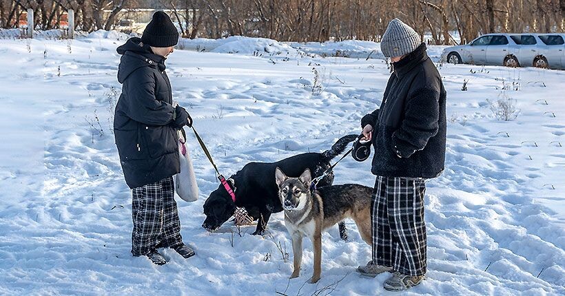 Дети могут выгуливать только маленьких собак весом до 10 кг.
