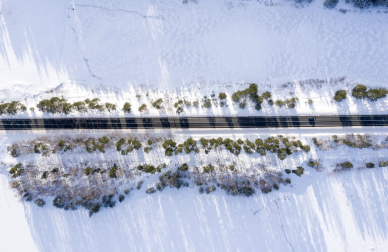    Фото: freepik.com/wirestock Ксения Зиннер