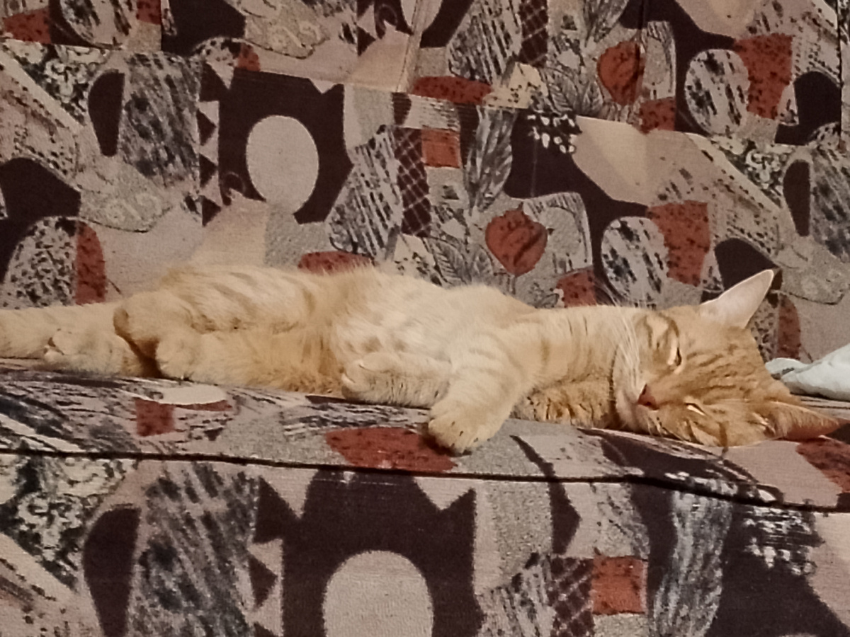 Растянулся на диване