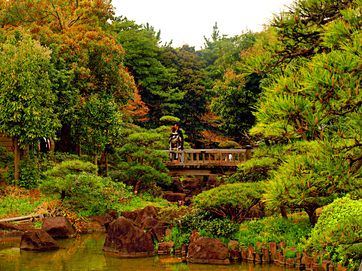 Фото из интернета. Япония весной.