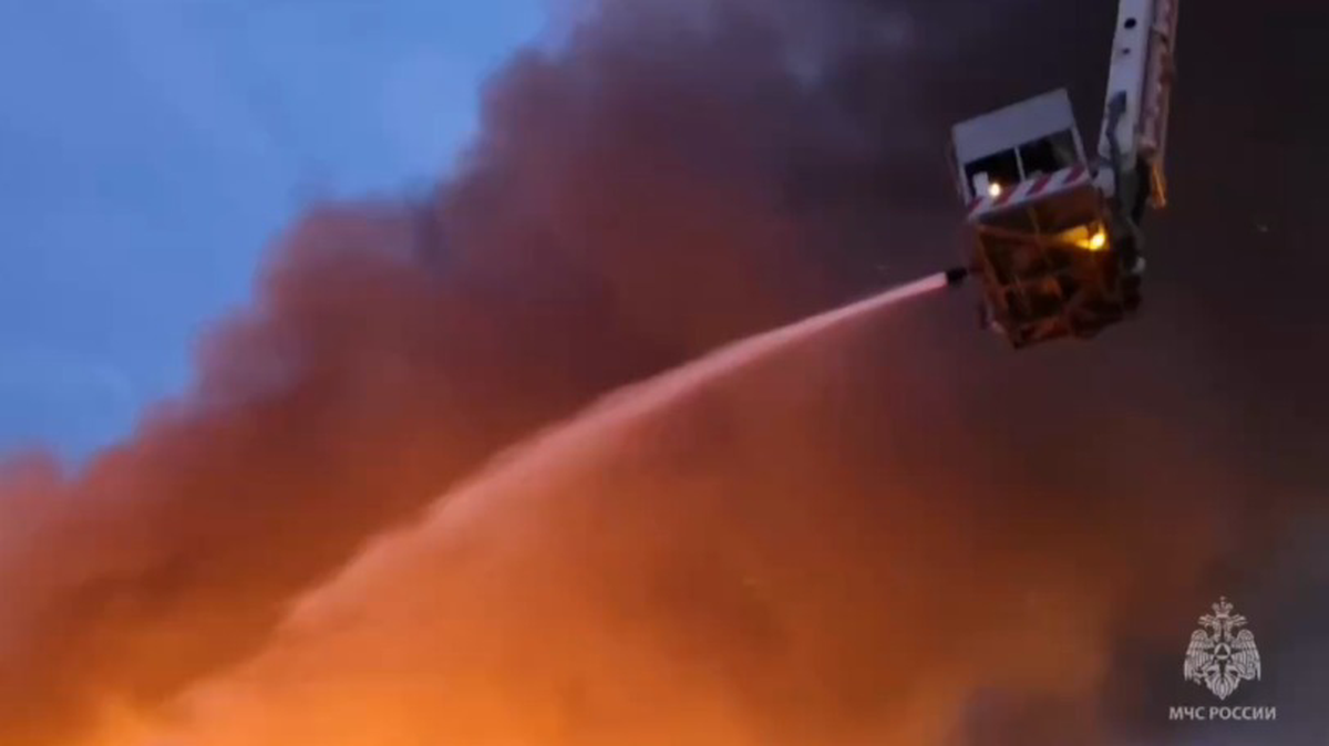    Фото: Telegram / МЧС России