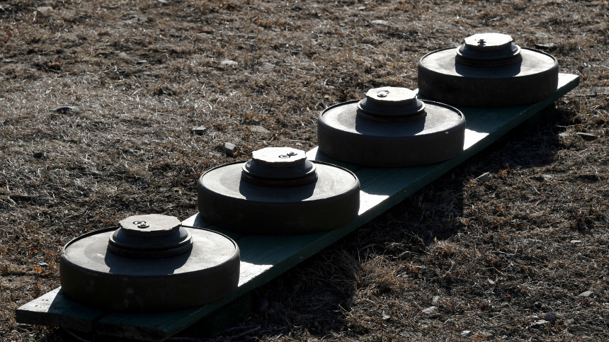    Фото: © РИА Новости/Виталий Аньков; 5-tv.ru