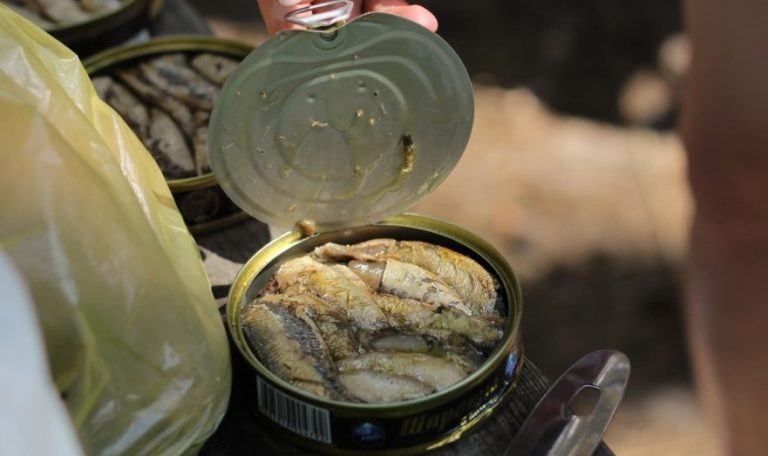    Фото: Ignat Kushanrev / unsplash.com Ксения Зиннер