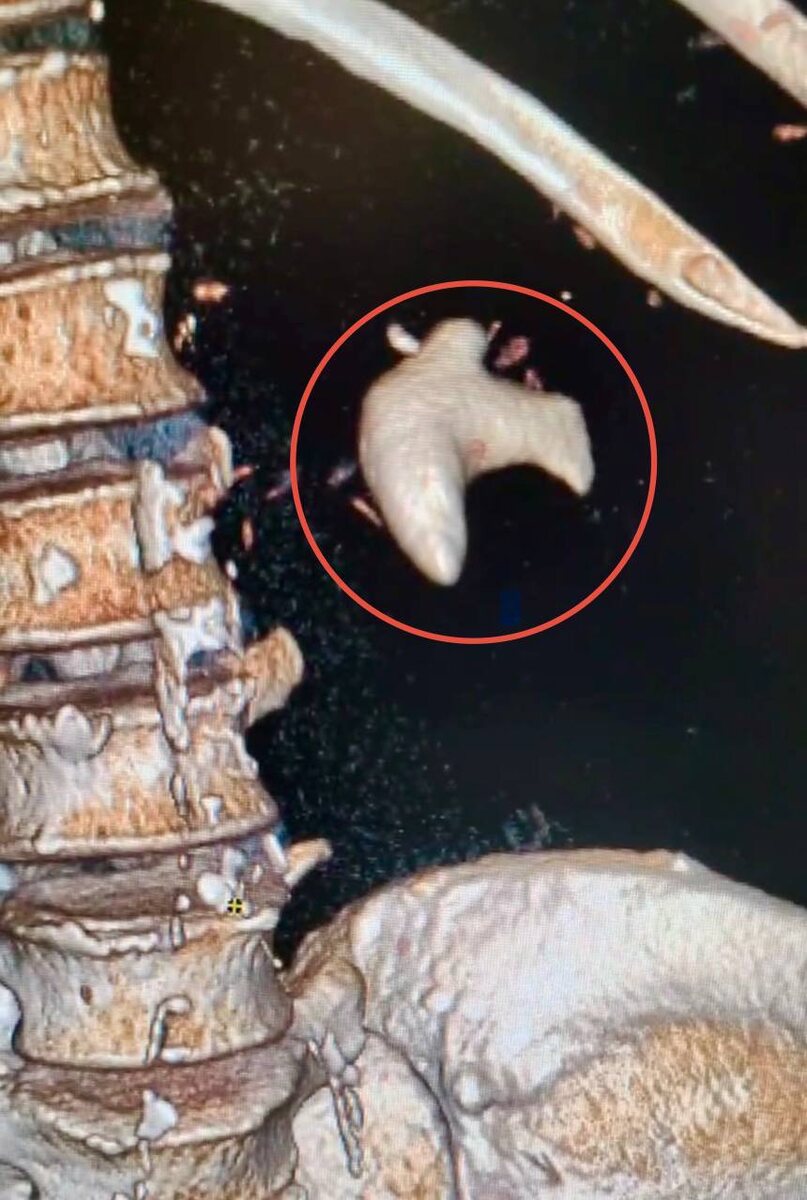     Фото: https://mz.mosreg.ru/