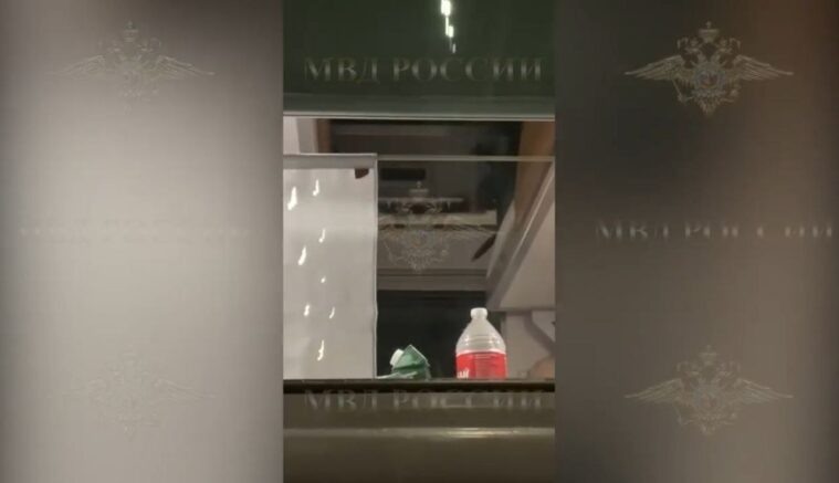    Агрессор с ножом на верхней полке в купе поезда / t.me/IrinaVolk_MVD