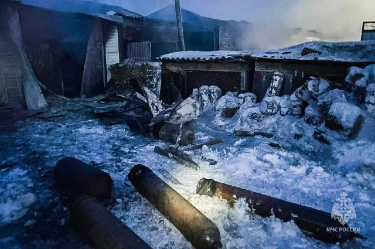    Школьника, который спас всю семью на пожаре, наградят в Омске