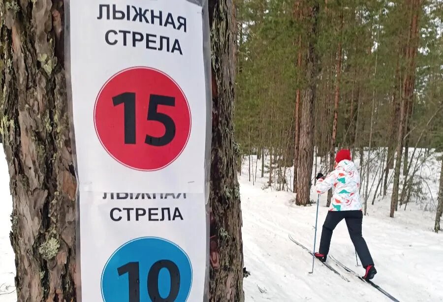 ФОТО Дмитрия СОКОЛОВА