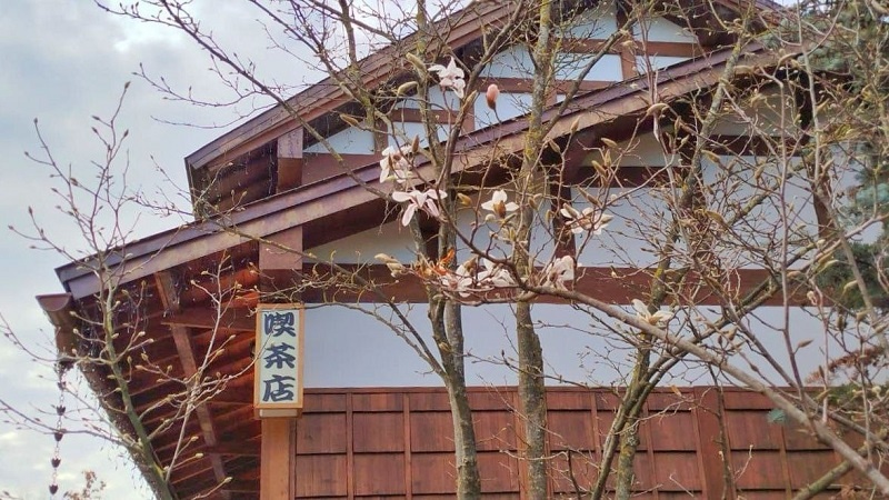    Фото: соцсети парка «Краснодар»