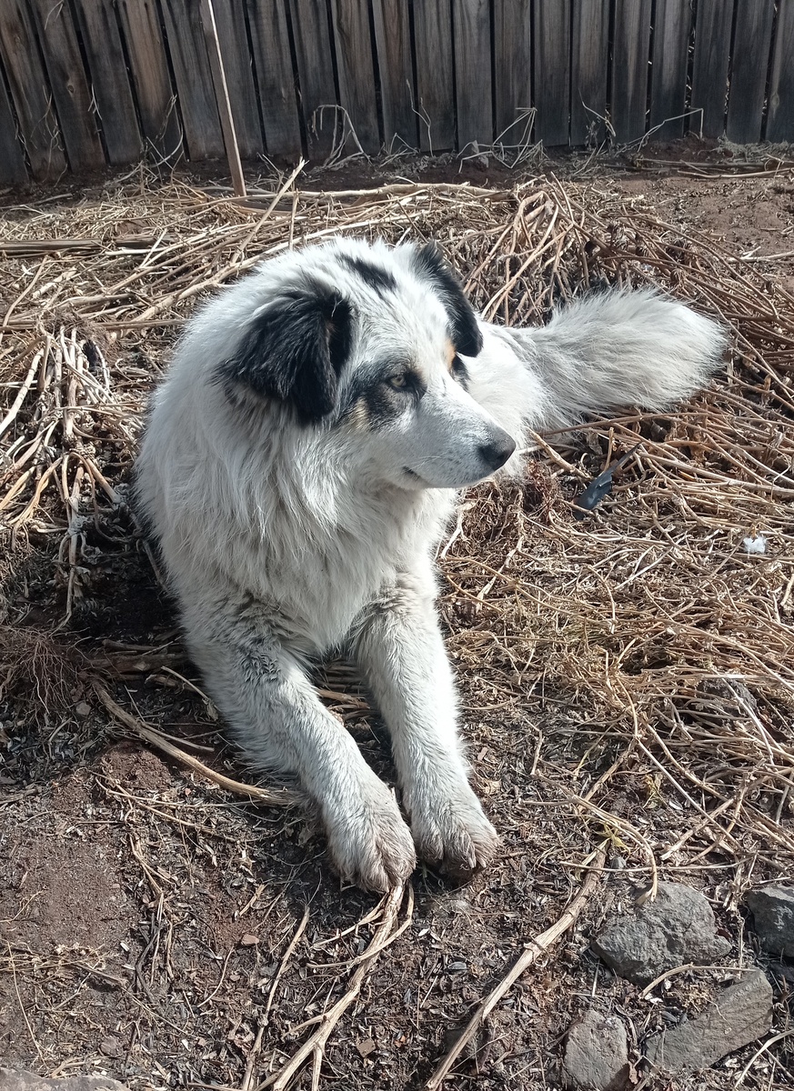 Главный герой статьи
