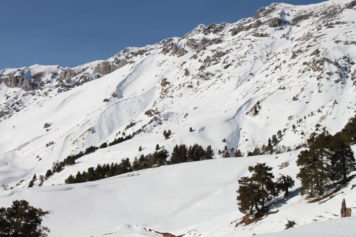 Фото: Яндекс Карты. Автор: Archbishop Sergey Z
