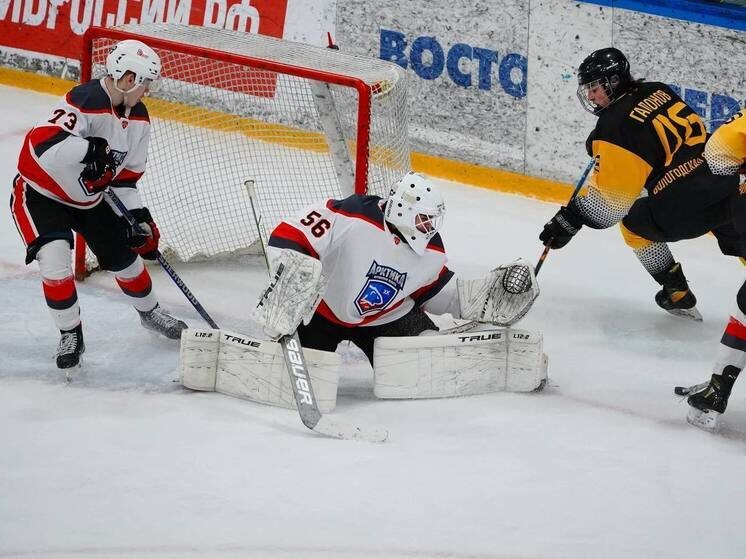     мурманская хоккейная команда «Арктика» победила ХК брянский ХК «Хорс-Подольск»со счетом 0:3. Фото: официальный тг-канал ХК «Арктика»