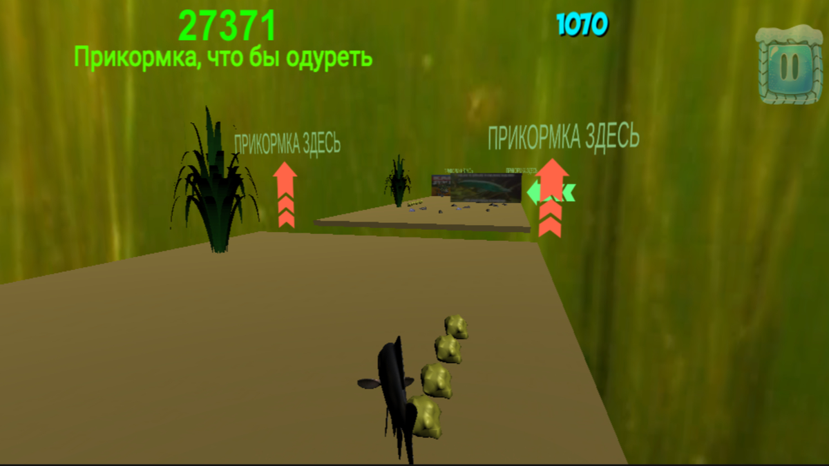 Карась бежит