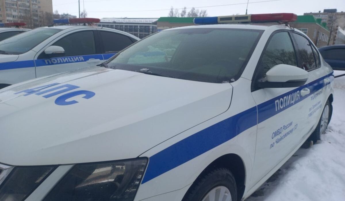     Патрульный автомобиль Госавтоинспекции Источник: ОМВД по ЧГО Автор фото: Отдел МВД по ЧГО