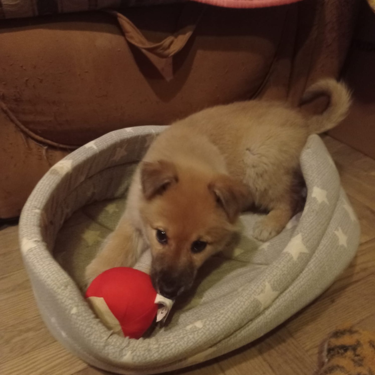 Тоже приветик из дома! 🥰