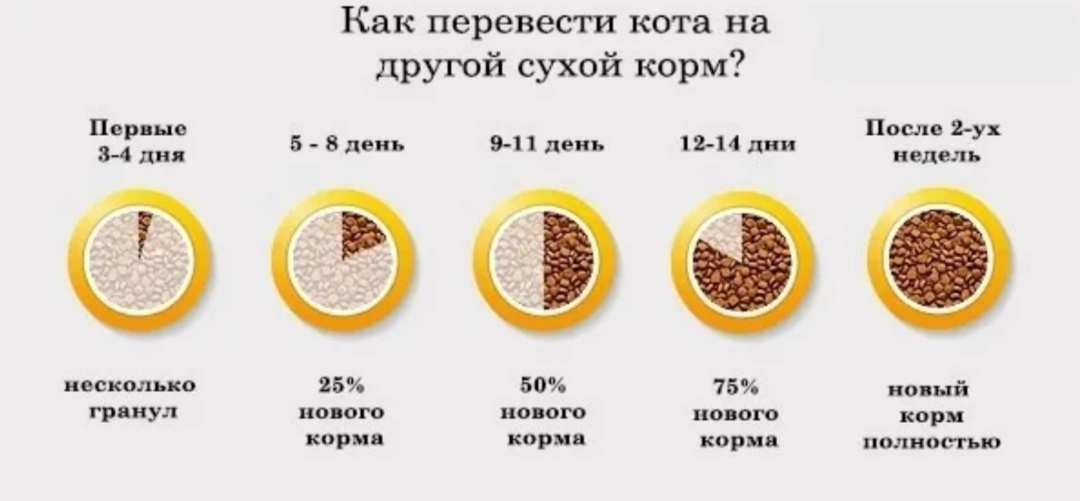 Картинка взята из интернета 