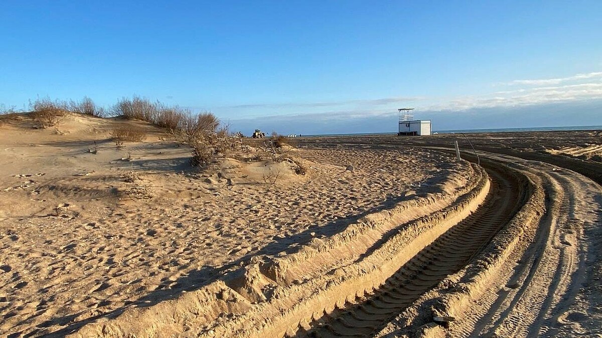    фото: телеканал «Краснодар»