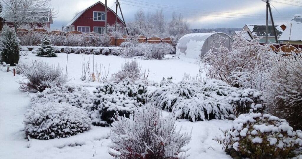РАБОТЫ В САДУ И ОГОРОДЕ В ФЕВРАЛЕ