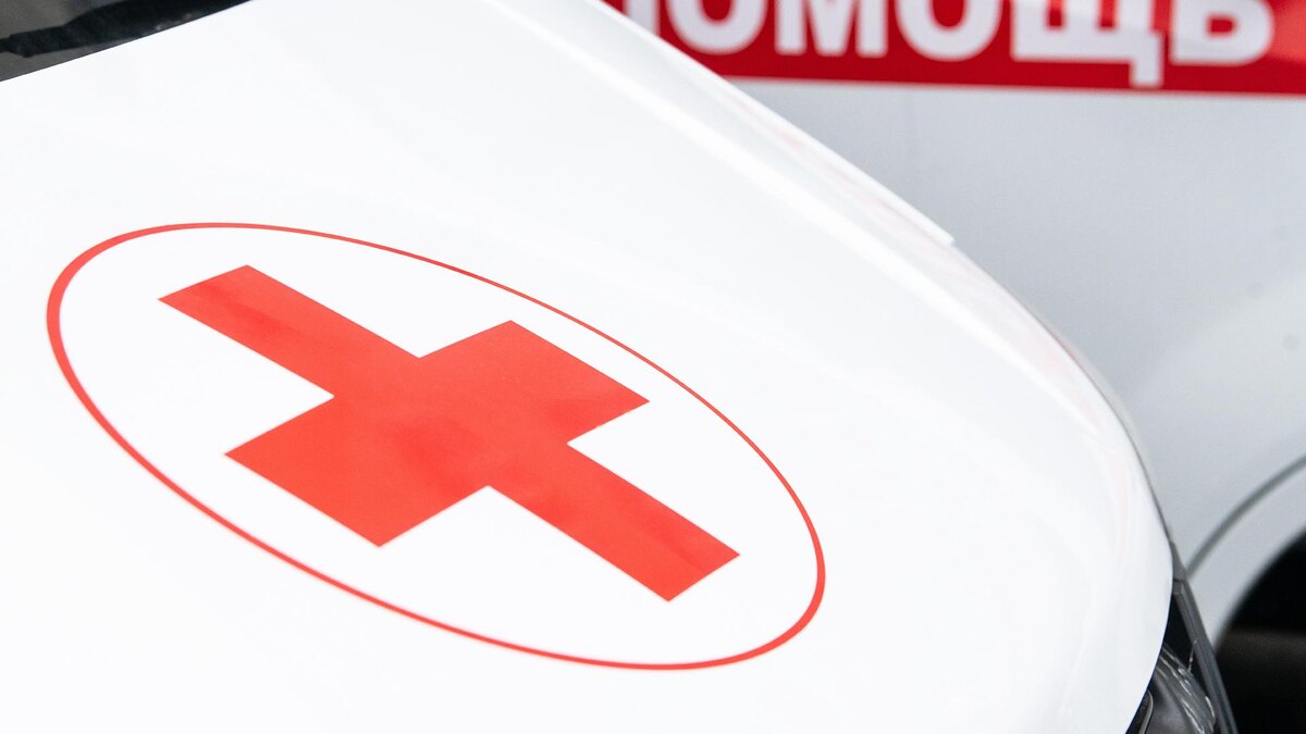    Фото: Ilya Moskovets/globallookpress.com