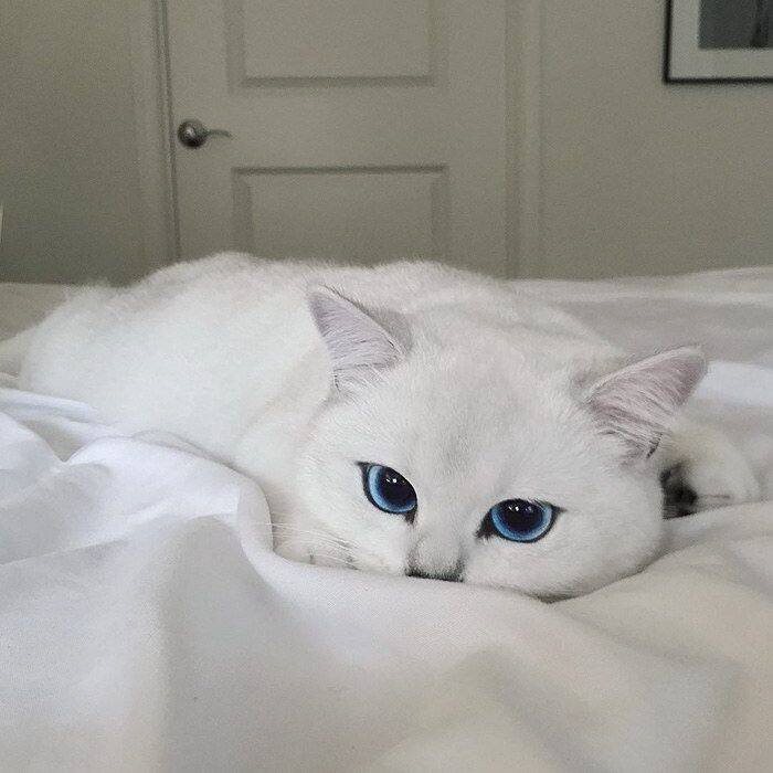 Источник: Pinterest. Пользователь Andre. 