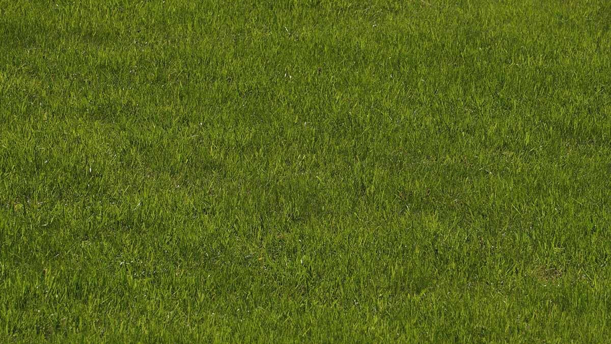    Фото: Анатолий Цымбалюк / Вечерняя Москва