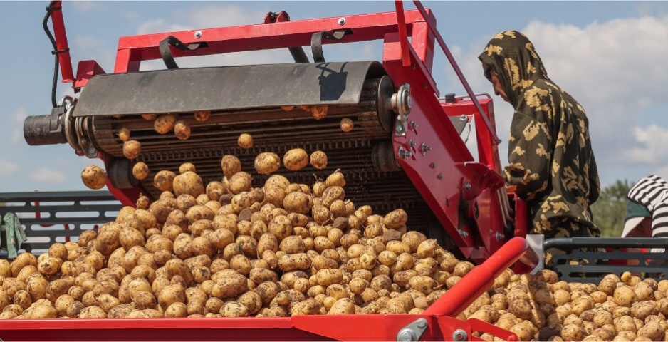 Фото: Дмитрий Рогулин/ТАСС