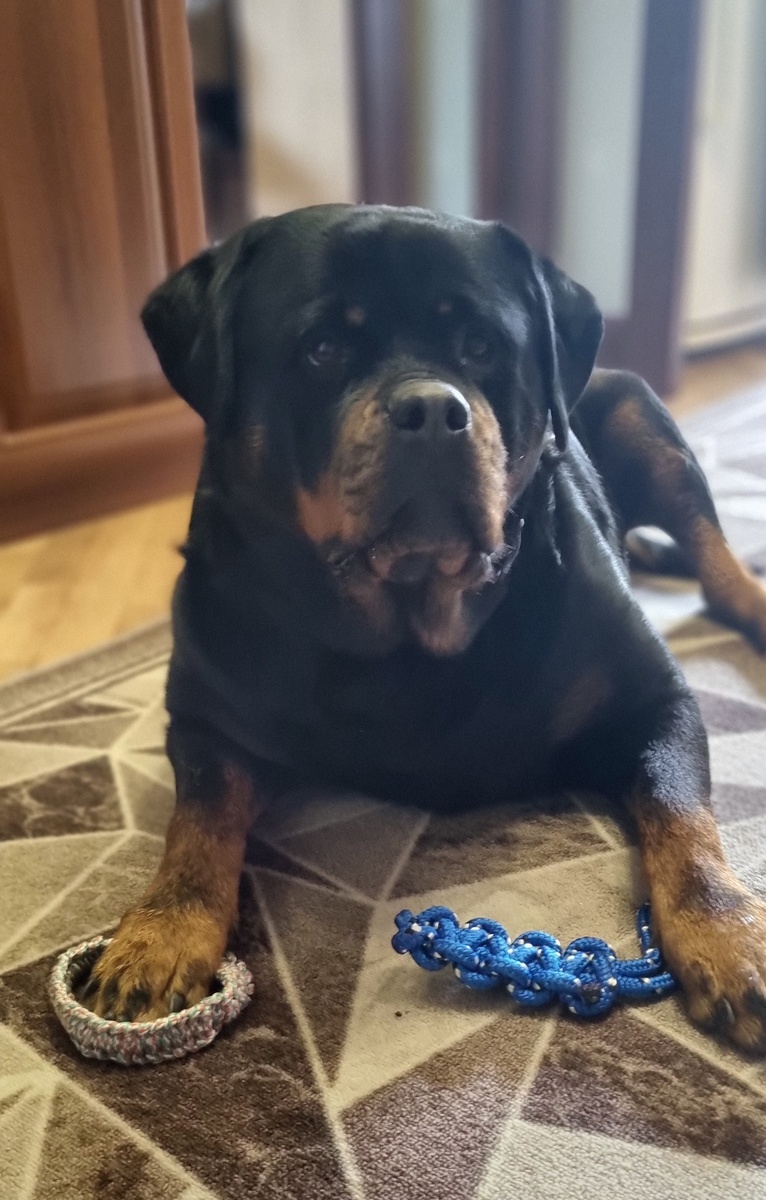 Берта и подарки