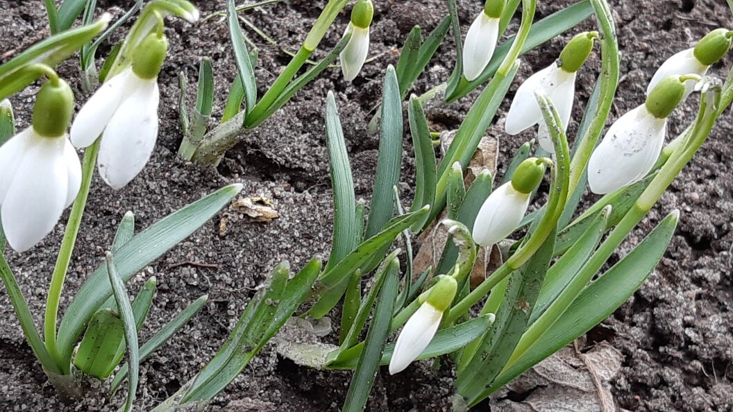    Komsomolskaya Pravda/Global Look Press