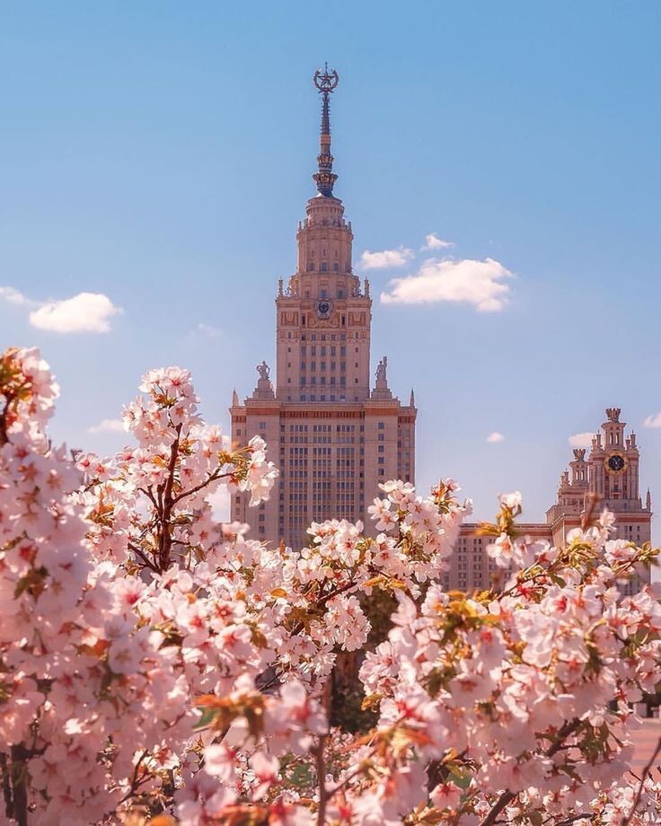 фото взято из открытых источников в сети Интернет