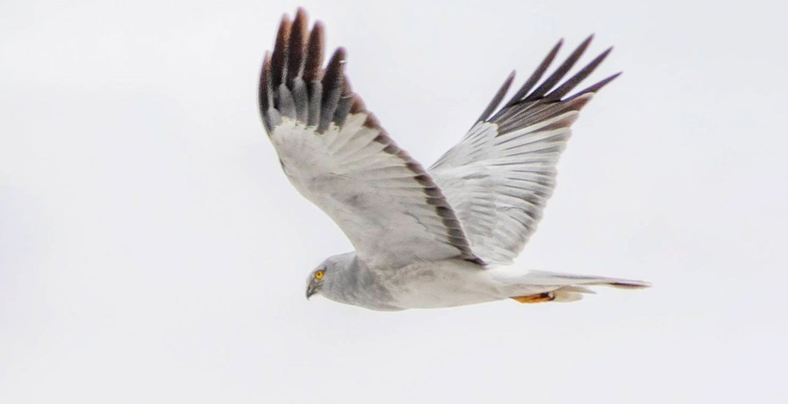    Фото: Департамент природопользования Москвы