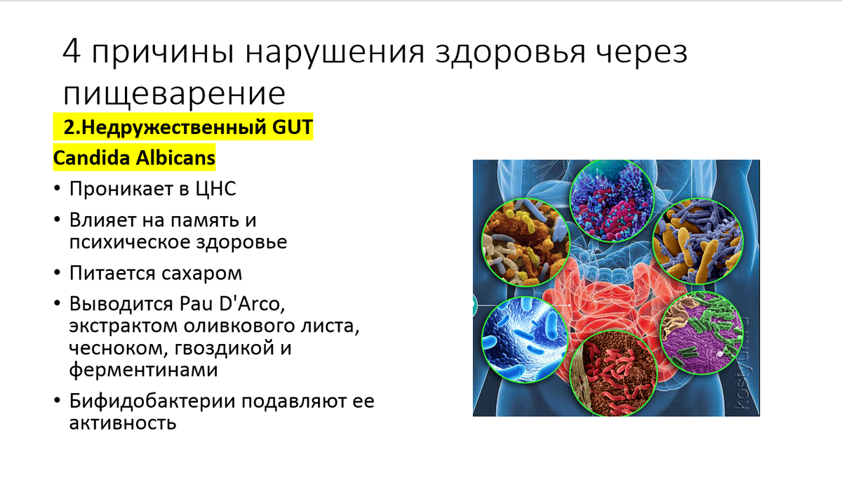 -2