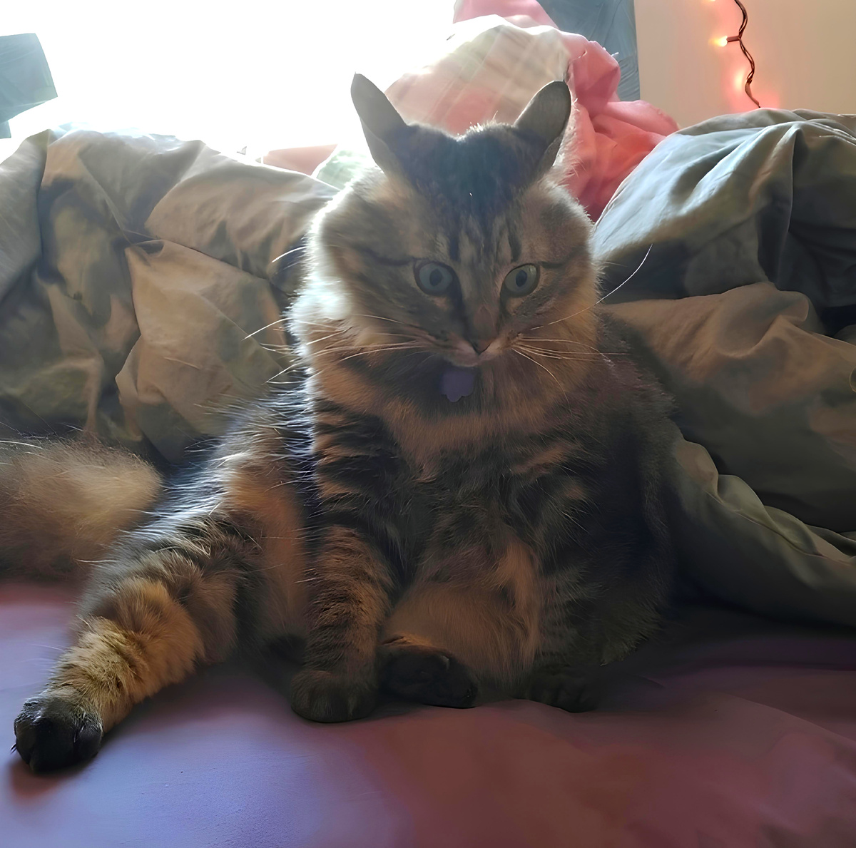 – А я не готова...