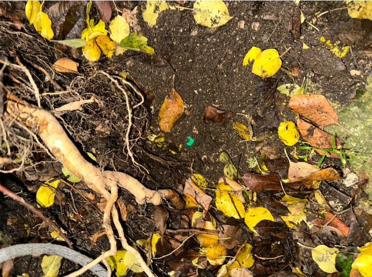 Фото: МВД по Республике Крым