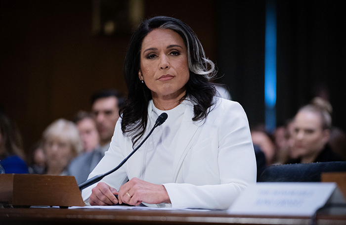    Тулси Габбард.Zuma/ТАСС