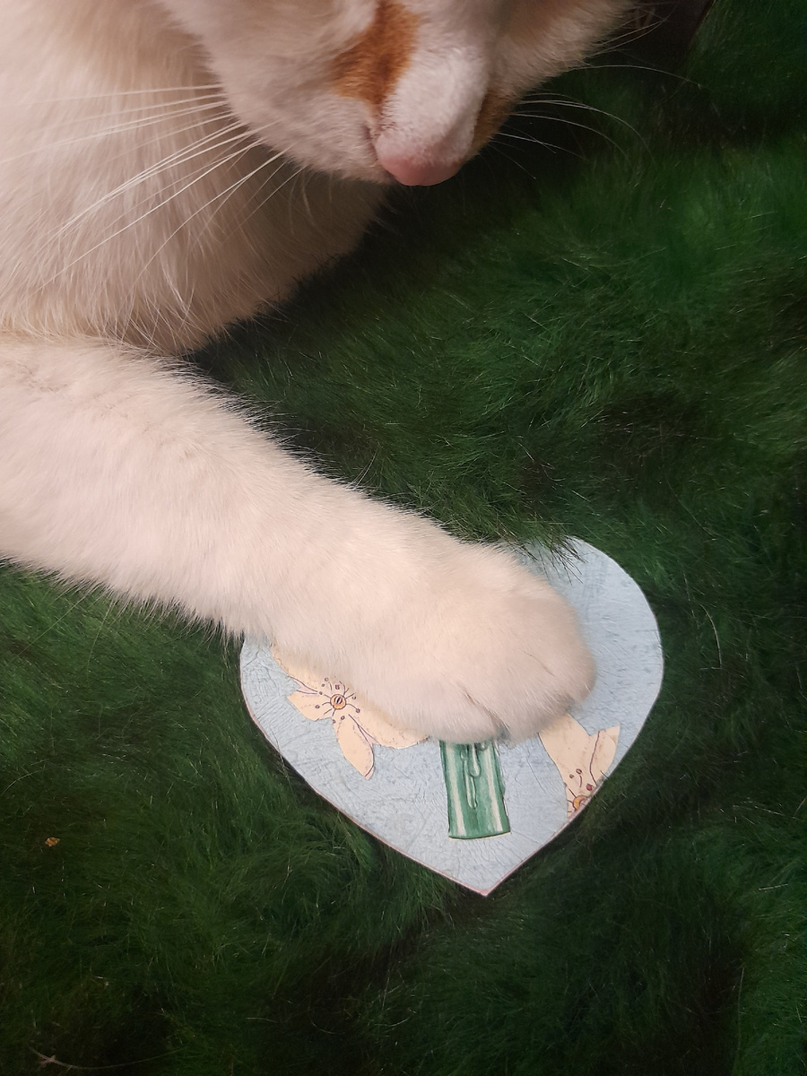 Рыжий собственник!