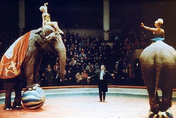 Фото: Яндекс картинки