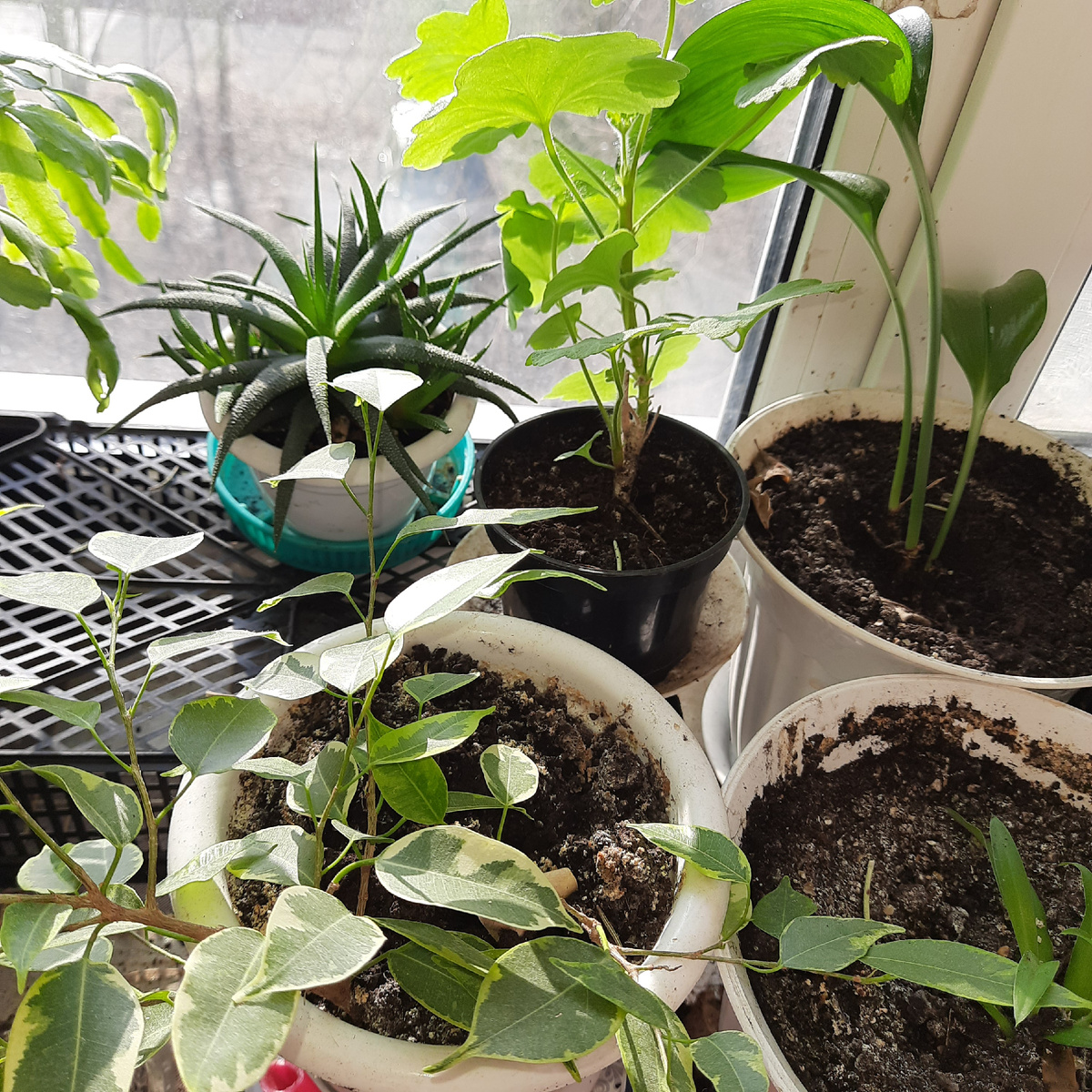 Первый солнечный день в этом году