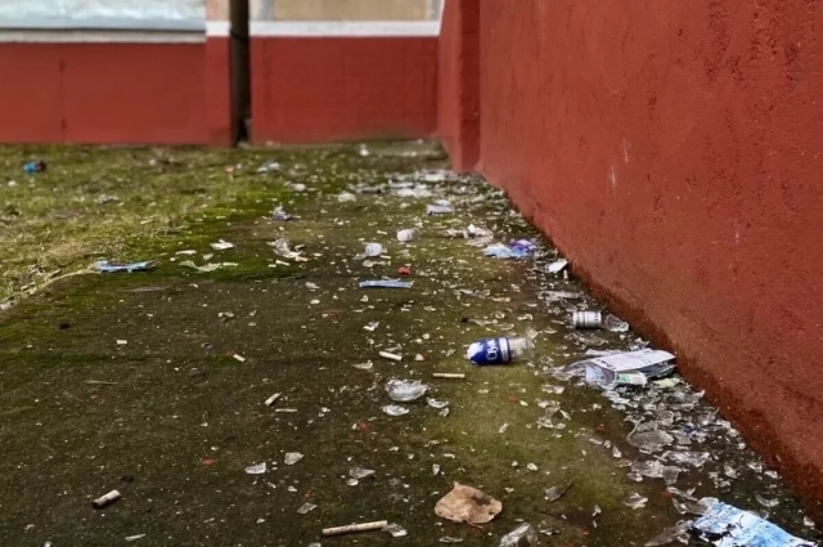    В Удомельском округе призывают к чистоте