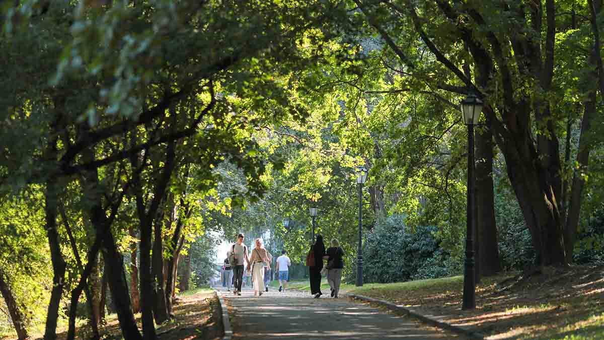    Фото: Василий Кузьмиченок / АГН Москва
