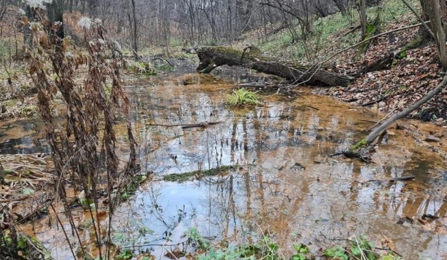    Фото: пресс-служба Минприроды Ульяновской области