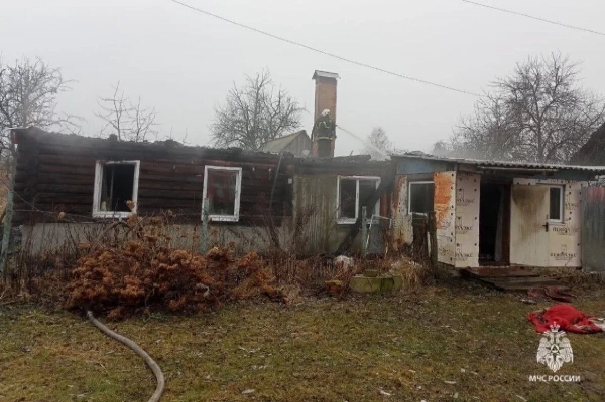    Утром 31 января в брянском селе Сосновка сгорел жилой дом