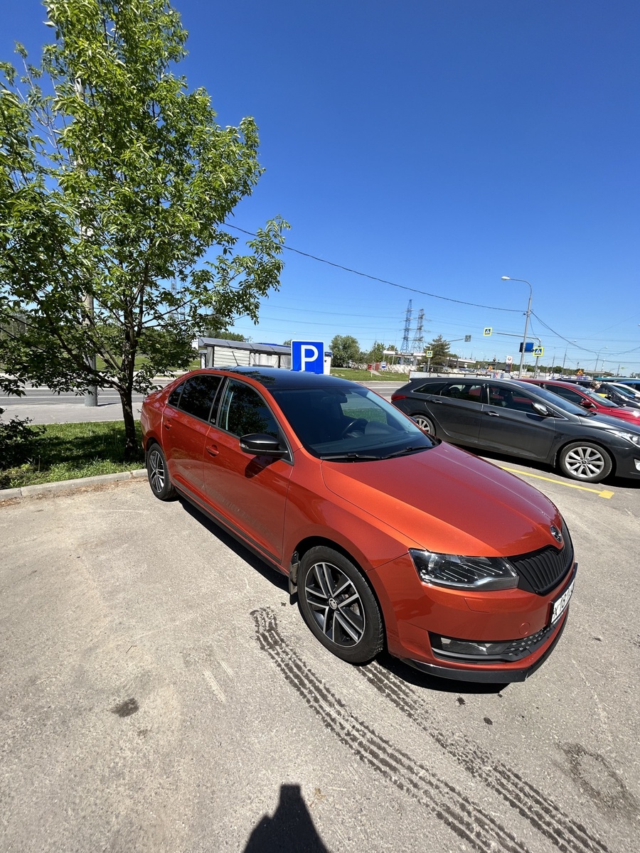 Рыжий красавчик