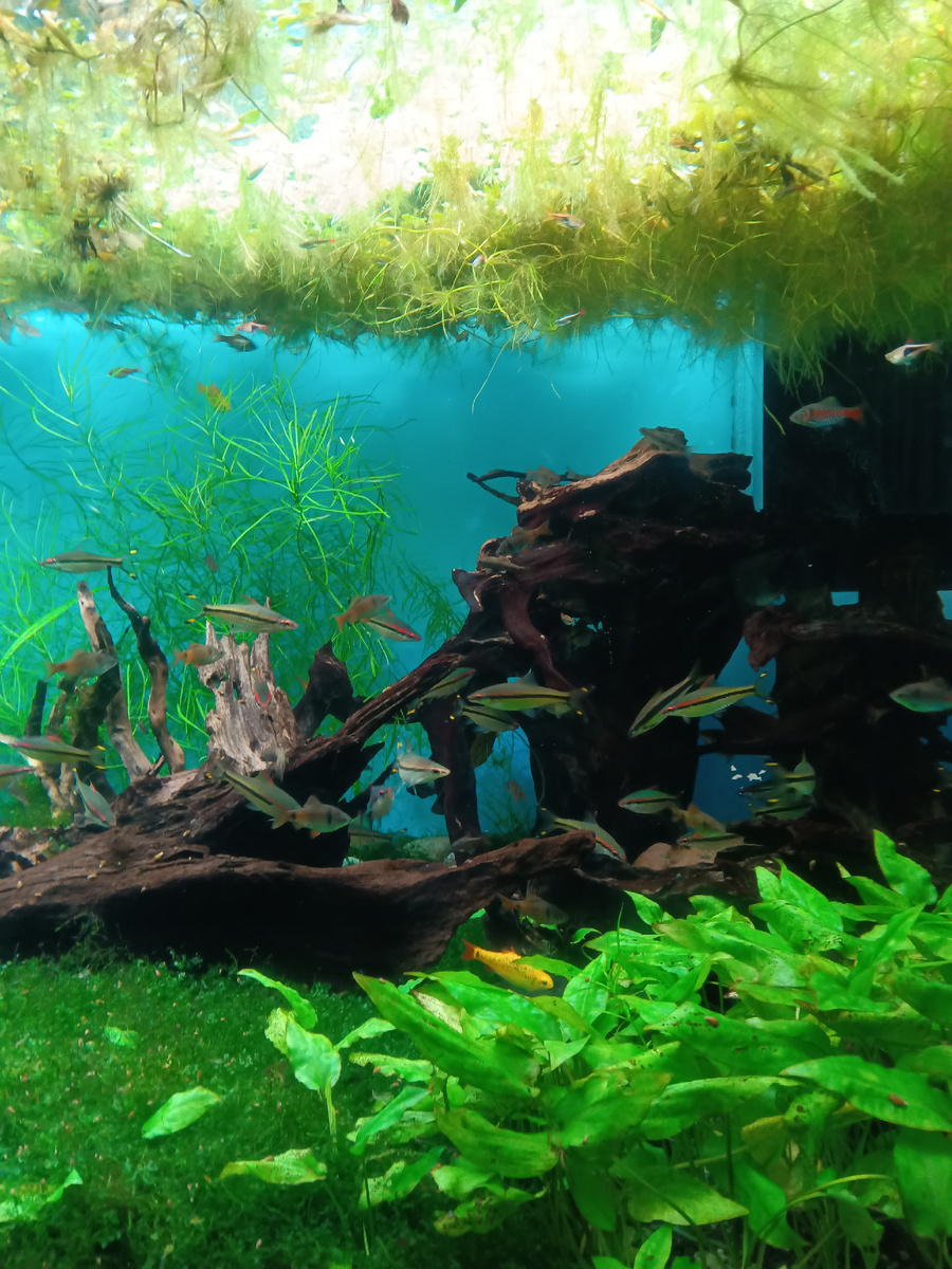 Фото автора. Февраль 2025 г.