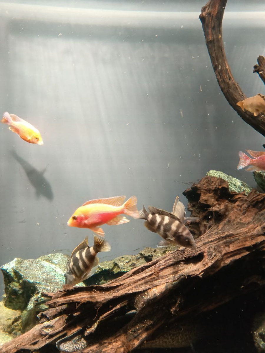 Москвариум. Фото автора. Февраль 2025 г.