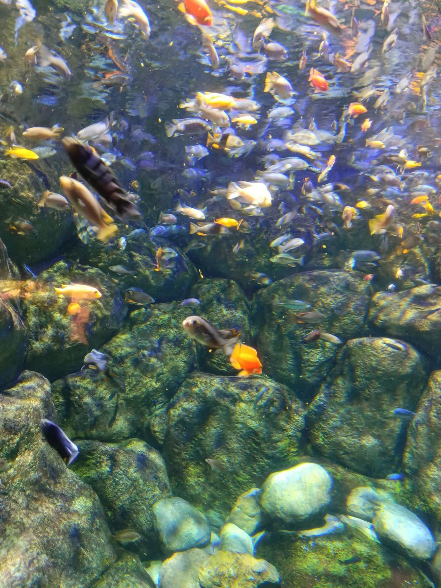 Москвариум. Фото автора. Февраль 2025 г.