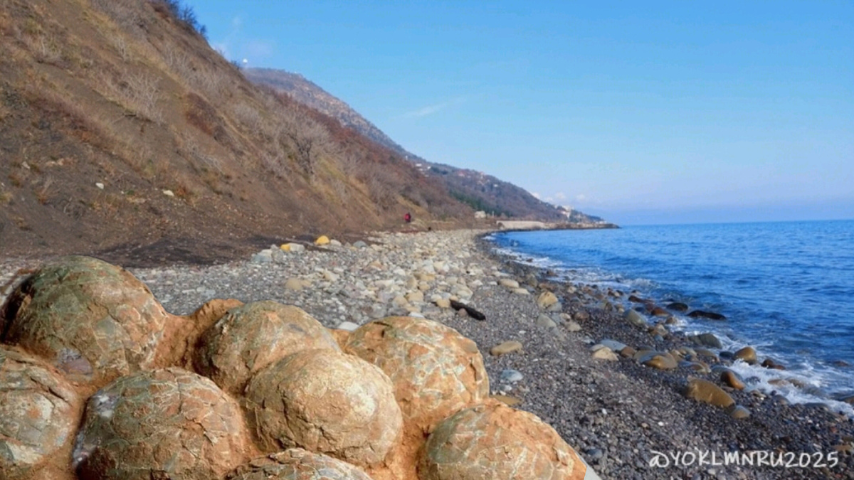 коллаж ©yoklmnru2025