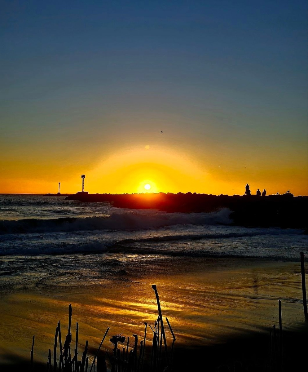 Красота в ноябре (США, Лос-Анджелес)